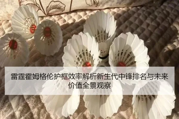 雷霆霍姆格伦护框效率解析新生代中锋排名与未来价值全景观察